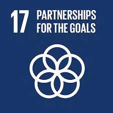 SDG SDG 17