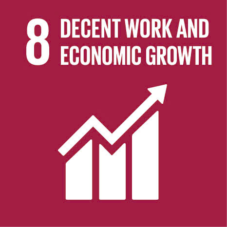 SDG SDG 8